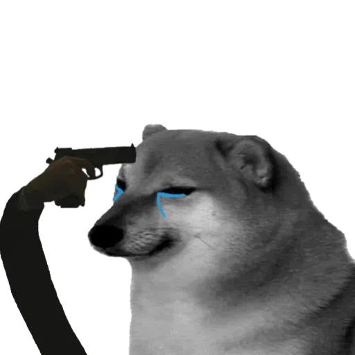 doge 4 - Sticker 16