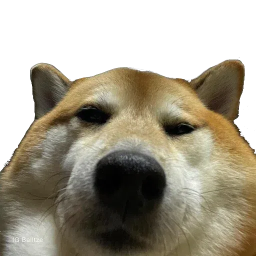 doge 4 - Sticker 27