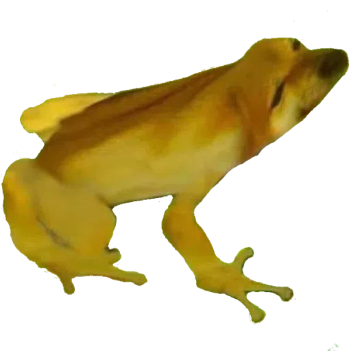 doge 4 - Sticker 13