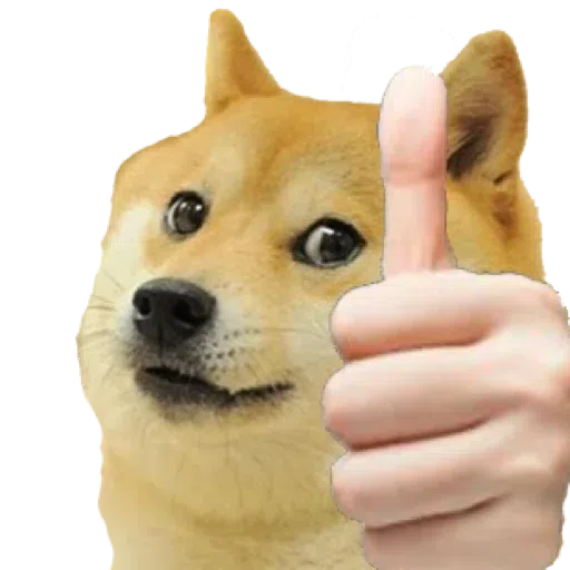 doge 4 - Sticker 19