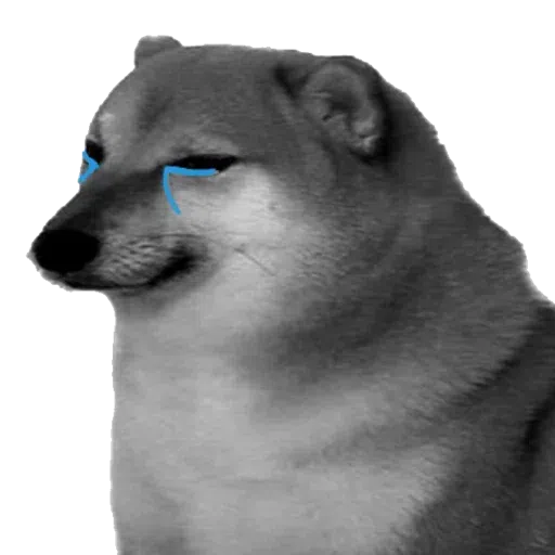 doge 4 - Sticker 9