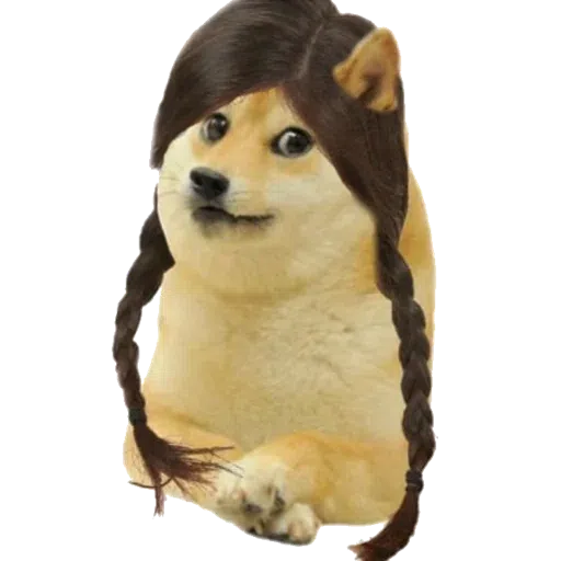 doge 4 - Sticker 21
