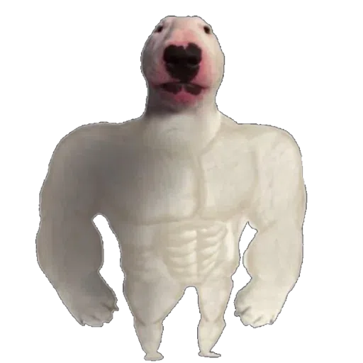 doge 4 - Sticker 26