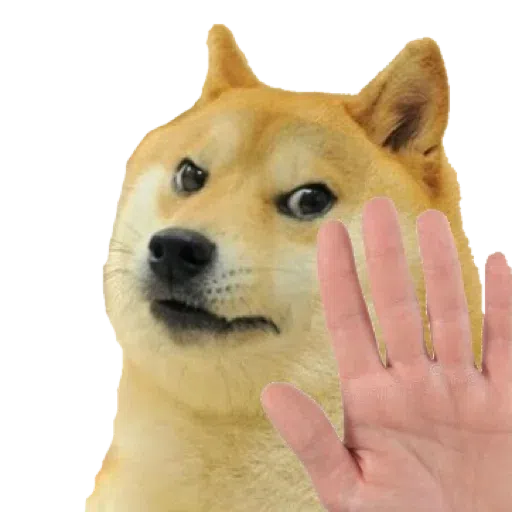 doge 4 - Sticker 22