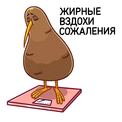 Kiwi bird - Sticker 28
