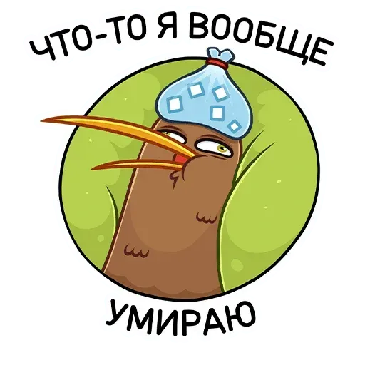 Kiwi bird - Sticker 24