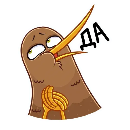 Kiwi bird - Sticker 22