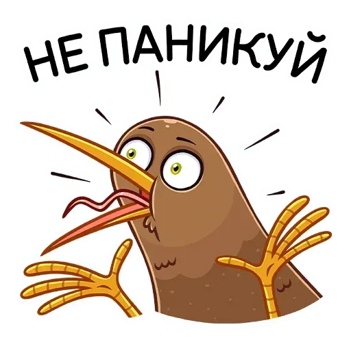 Kiwi bird - Sticker 16