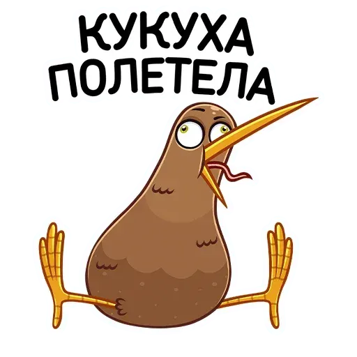 Kiwi bird - Sticker 15