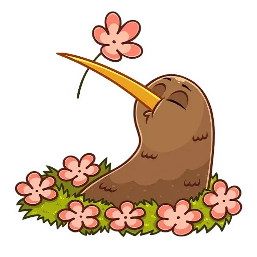 Kiwi bird - Sticker 20