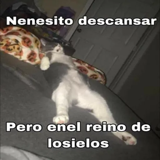 nuevos - Sticker 10