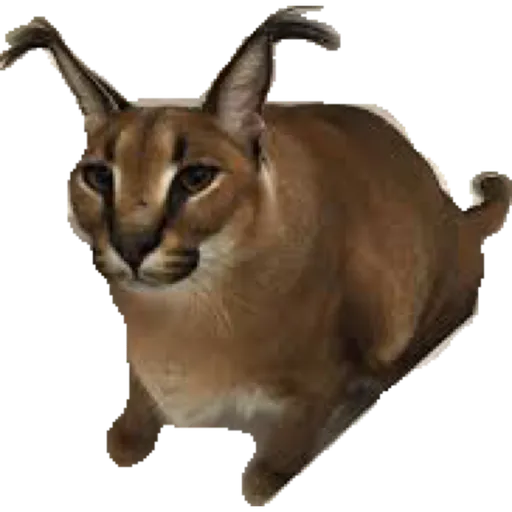 Cat friends - Sticker 10