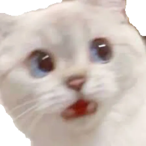 Cat friends - Sticker 13