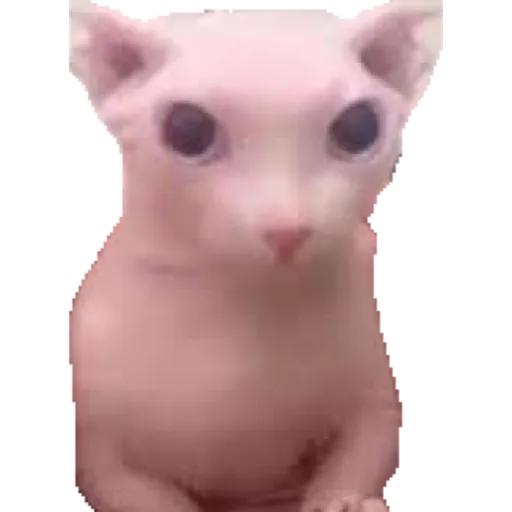 Cat friends - Sticker 9