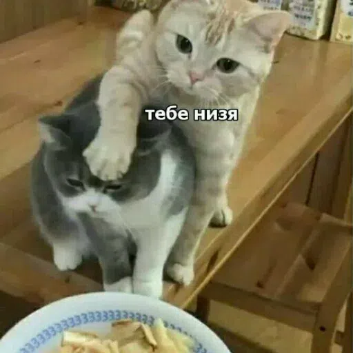 Прп - Sticker 21