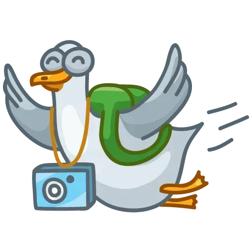 Pidgeons - Sticker 21