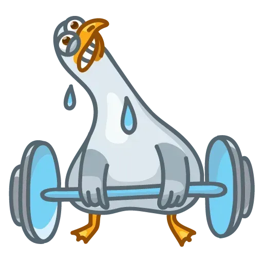 Pidgeons - Sticker 27