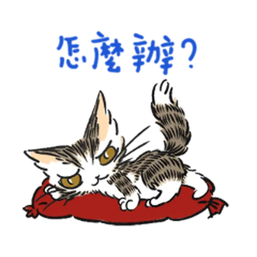 達洋貓-日常篇 - Sticker 9