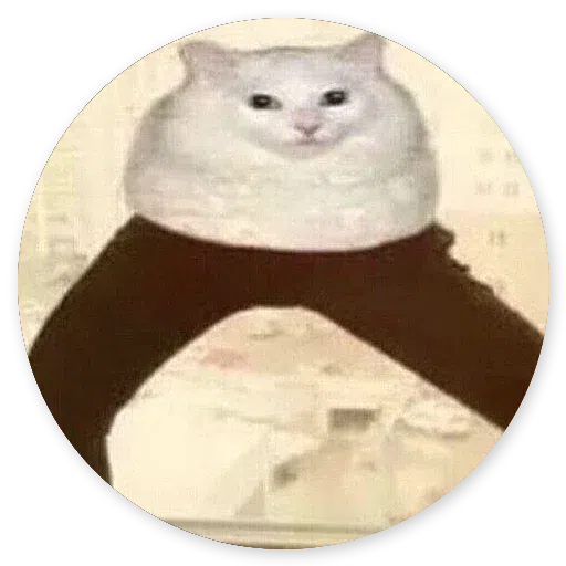 Stupid cats - Sticker 20