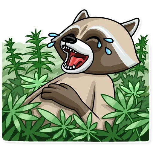 BENIS - Sticker 12