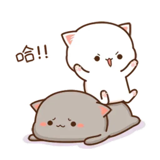 Cat - Sticker 10