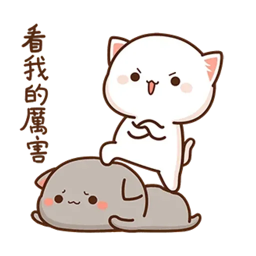 Cat - Sticker 20