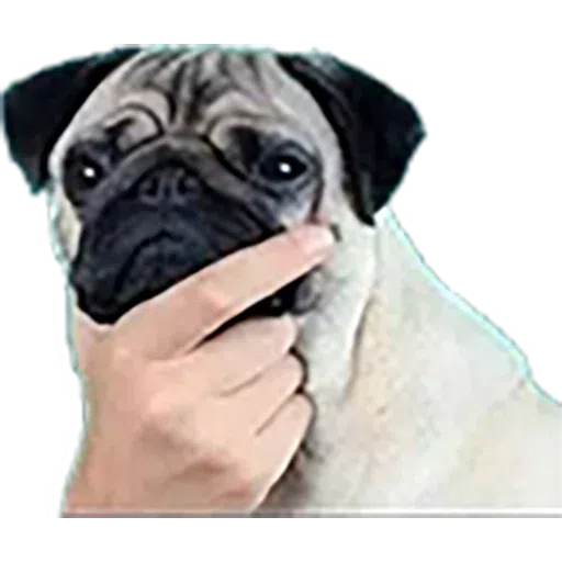 Thinking - Sticker 10