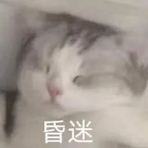 乜都有 - Sticker 13