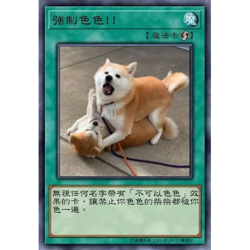 Wwww - Sticker 22