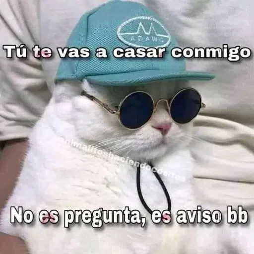 variadito II - Sticker 9