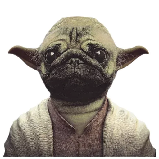 MeetPugs - Sticker 12