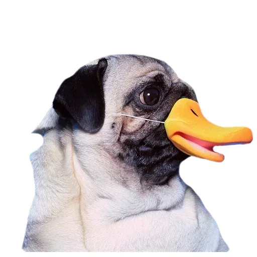MeetPugs - Sticker 9