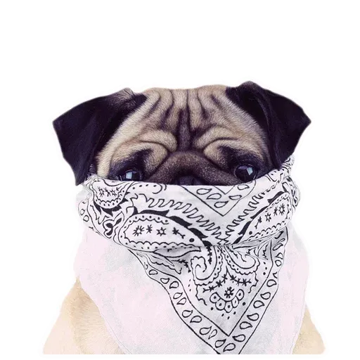 MeetPugs - Sticker 11