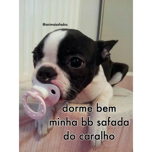 Animais Safados 2 - Sticker 19