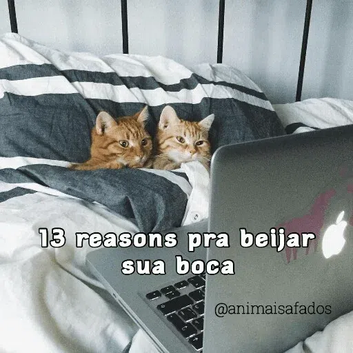 Animais Safados 2 - Sticker 21