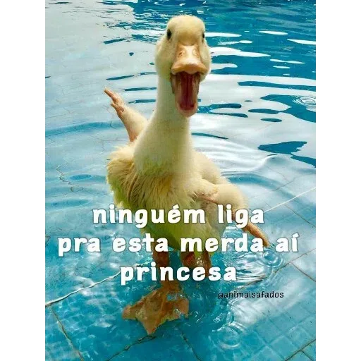 Animais Safados 2 - Sticker 23