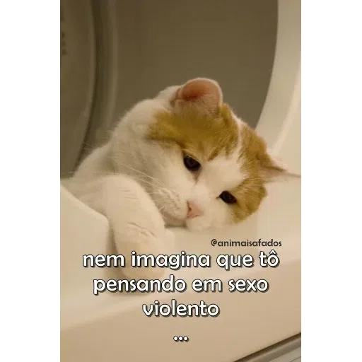 Animais Safados 2 - Sticker 15