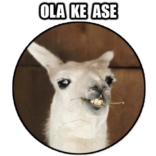 Frases1 - Sticker 20
