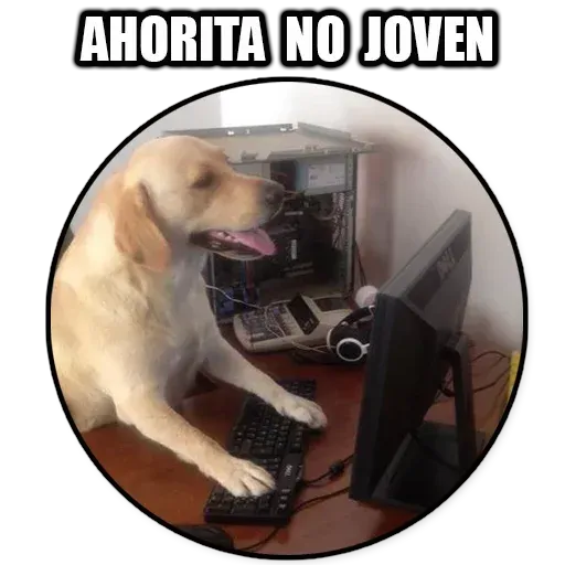 Frases1 - Sticker 15