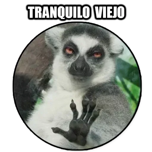 Frases1 - Sticker 27