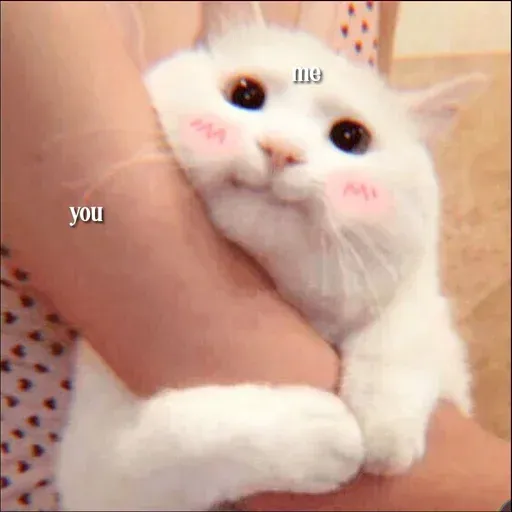 yuyu - Sticker 11