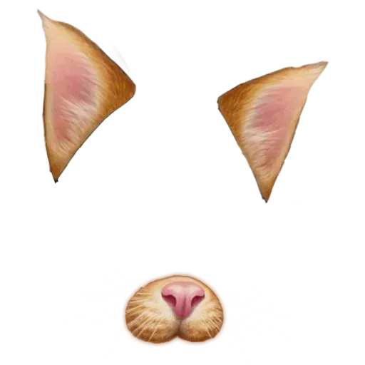 Snapchat Masks - Sticker 20