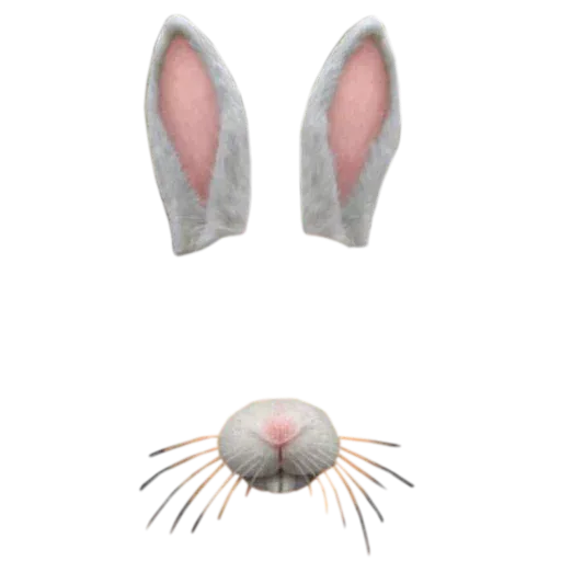 Snapchat Masks - Sticker 14