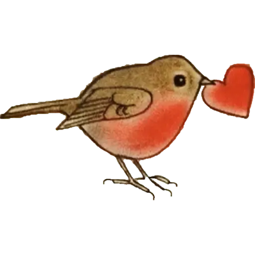 Amor - Sticker 13