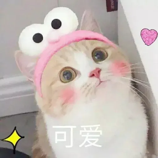 CuteCat2 - Sticker 30
