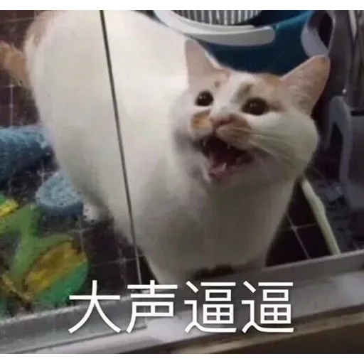 CuteCat2 - Sticker 26