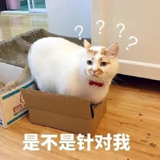 CuteCat2 - Sticker 20