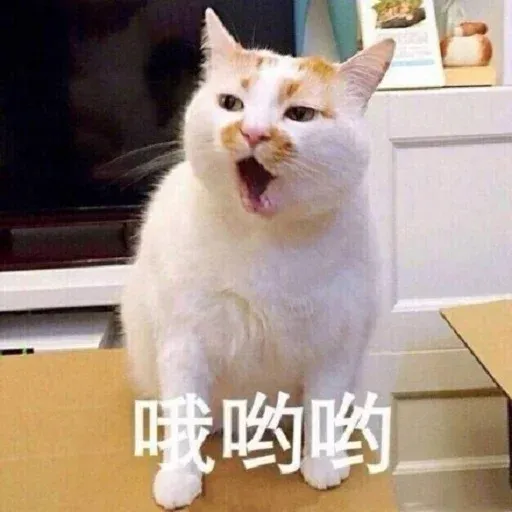 CuteCat2 - Sticker 22