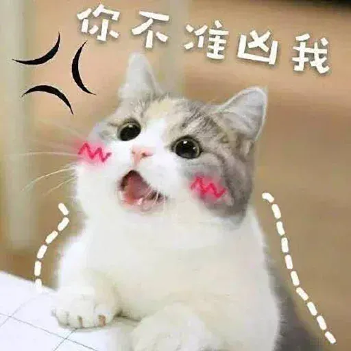 CuteCat2 - Sticker 10