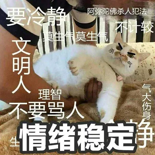 CuteCat2 - Sticker 27
